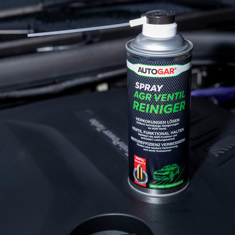 AGR reinigen ohne Ausbau