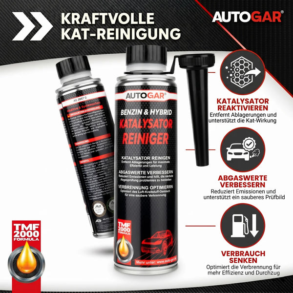 KATALYSATOR REINIGER Benzin & Hybrid 250 ml