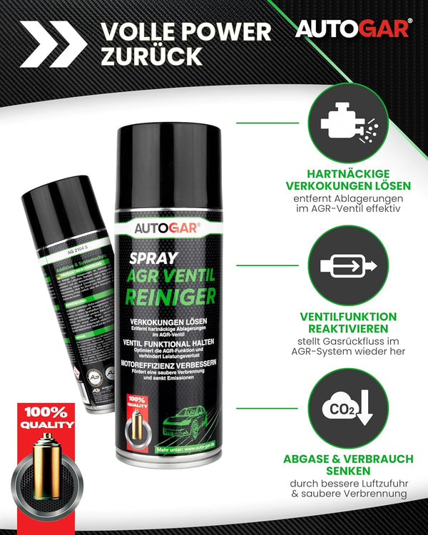 Spray- AGR Ventil Reiniger