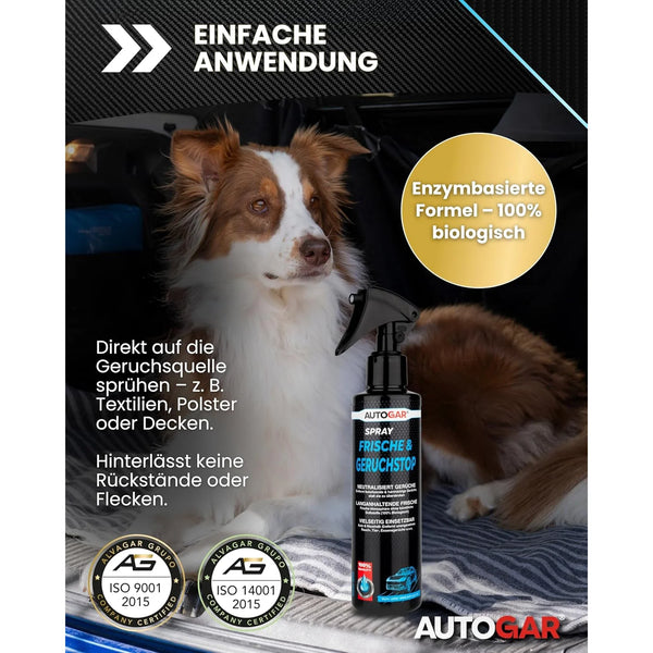 FRISCHE & GERUCHSTOP Spray 200 ml